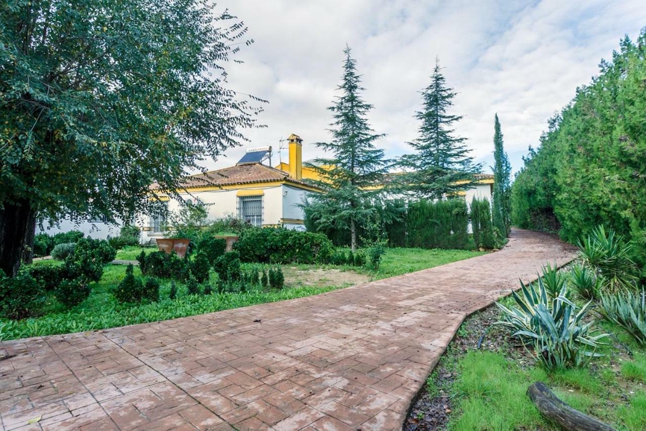 Casa Elizabeth Apartment Palomares del Rio ภายนอก รูปภาพ